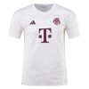 23/24 Bayern Munich Third Jersey